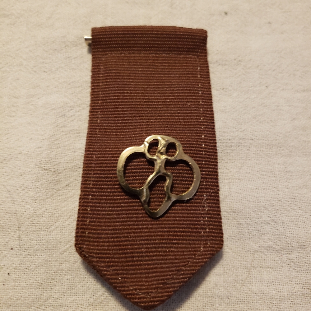 Brownie Insignia Tab Newer Edition